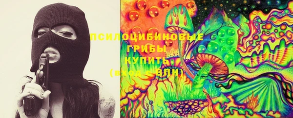 метадон Дмитровск